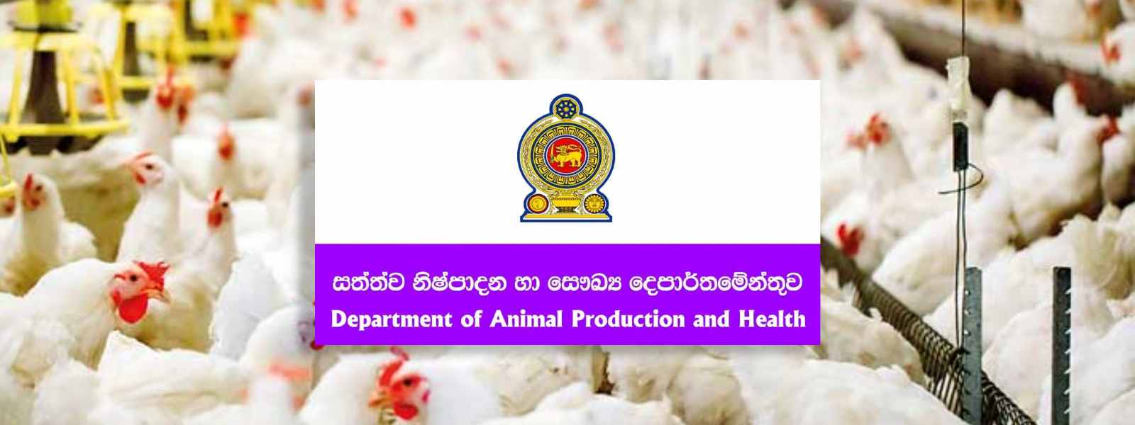 ආපදා නිසා සත්ත්ව ගොවිපොළ 16000කට හානි!